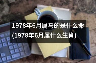 1978年6月属马的是什么命(1978年6月属什么生肖)