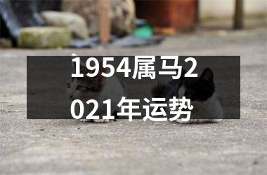 1954属马2021年运势