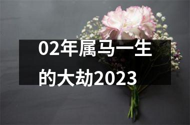 02年属马一生的大劫2023