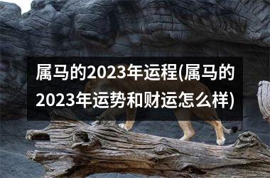 属马的2023年运程(属马的2023年运势和财运怎么样)