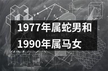 1977年属蛇男和1990年属马女