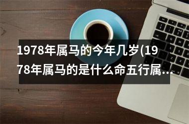 1978年属马的今年几岁(1978年属马的是什么命五行属什么)