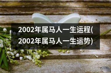 2002年属马人一生运程(2002年属马人一生运势)