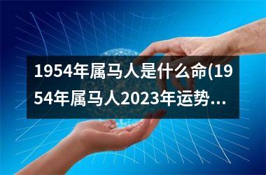 1954年属马人是什么命(1954年属马人2023年运势运程)