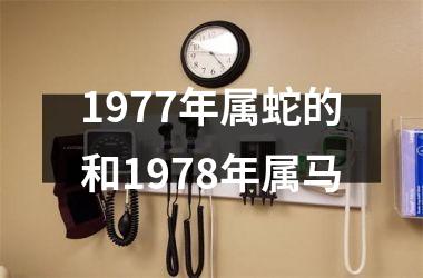 1977年属蛇的和1978年属马