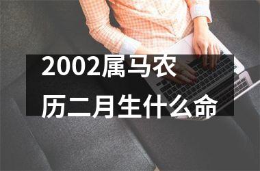 <h3>2002属马农历二月生什么命