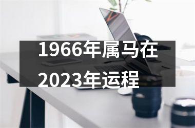 1966年属马在2023年运程