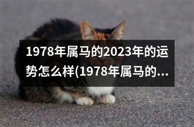 1978年属马的2025年的运势怎么样(1978年属马的2025年运势和财运怎么样)
