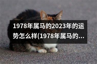 1978年属马的2023年的运势怎么样(1978年属马的2023年运势和财运怎么样)