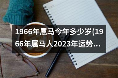 1966年属马今年多少岁(1966年属马人2025年运势男性)
