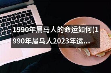 1990年属马人的命运如何(1990年属马人2023年运势运程)