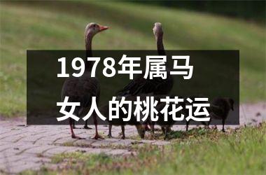 1978年属马女人的桃花运