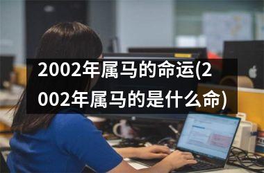 2002年属马的命运(2002年属马的是什么命)