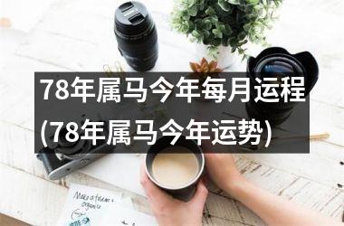 78年属马今年每月运程(78年属马今年运势)