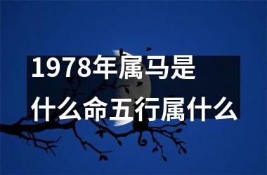 1978年属马是什么命五行属什么