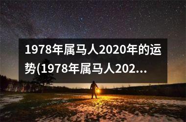 1978年属马人2020年的运势(1978年属马人2023年运势运程)