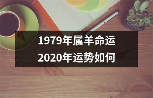1979年属羊命运2025年运势如何