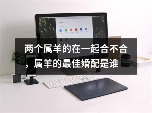 两个属羊的在一起合不合，属羊的佳婚配是谁