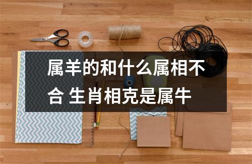 属羊的和什么属相不合生肖相克是属牛