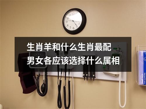 生肖羊和什么生肖配男女各应该选择什么属相