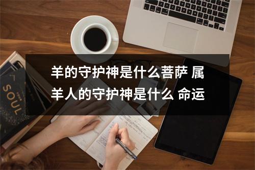羊的守护神是什么菩萨属羊人的守护神是什么命运