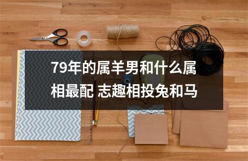 79年的属羊男和什么属相配志趣相投兔和马