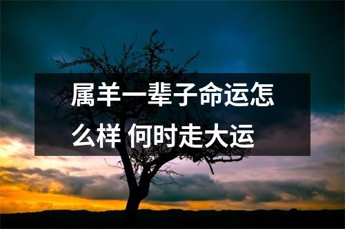 属羊一辈子命运怎么样何时走大运