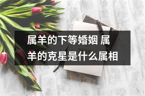 属羊的下等婚姻属羊的克星是什么属相