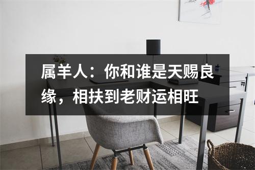 属羊人：你和谁是天赐良缘，相扶到老财运相旺