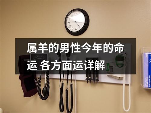 属羊的男性今年的命运各方面运详解