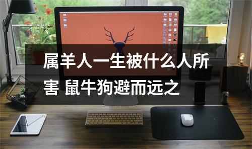属羊人一生被什么人所害鼠牛狗避而远之