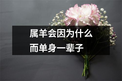 属羊会因为什么而单身一辈子