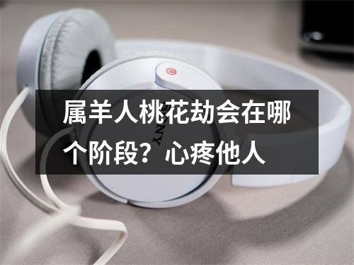 属羊人桃花劫会在哪个阶段？心疼他人
