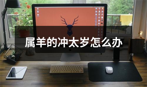属羊的冲太岁怎么办