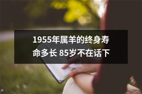 1955年属羊的终身寿命多长85岁不在话下