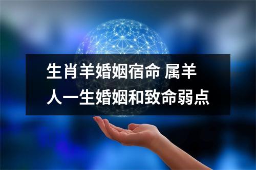 生肖羊婚姻宿命属羊人一生婚姻和致命弱点