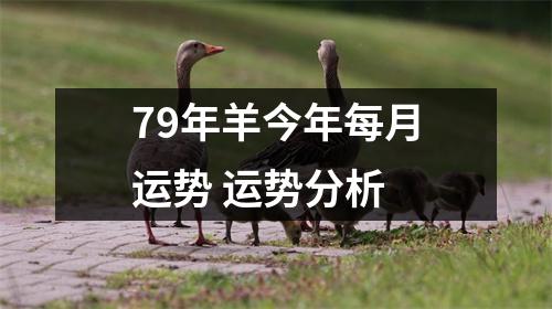 <h3>79年羊今年每月运势运势分析