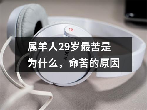 属羊人29岁苦是为什么，命苦的原因
