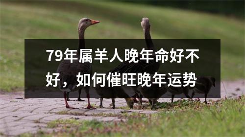 79年属羊人晚年命好不好，如何催旺晚年运势