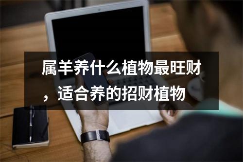 属羊养什么植物旺财，适合养的招财植物
