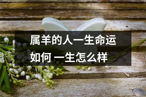 属羊的人一生命运如何一生怎么样