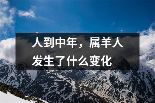 人到中年，属羊人发生了什么变化