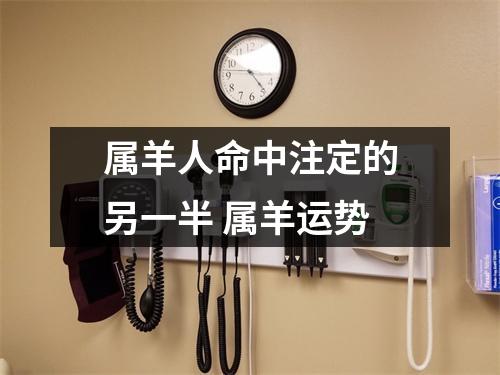 属羊人命中注定的另一半属羊运势