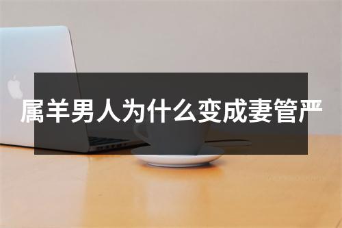 属羊男人为什么变成妻管严