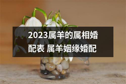 2023属羊的属相婚配表属羊姻缘婚配