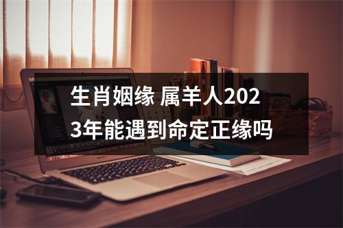 生肖姻缘属羊人2023年能遇到命定正缘吗