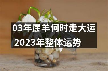 03年属羊何时走大运 2023年整体运势