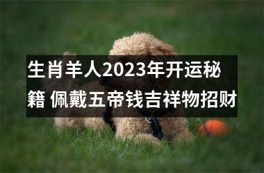 生肖羊人2025年开运秘籍 佩戴五帝钱吉祥物招财