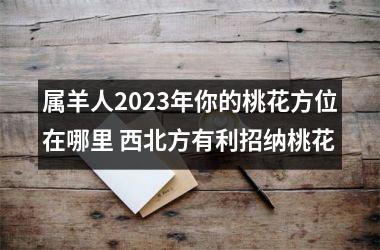 属羊人2023年你的桃花方位在哪里 西北方有利招纳桃花