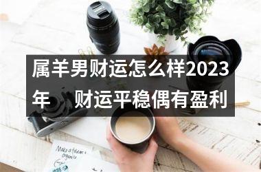 属羊男财运怎么样2023年 　财运平稳偶有盈利